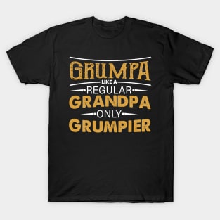 Grumpa Like A Regular Grandpa Only Grumpier Costume Gift T-Shirt